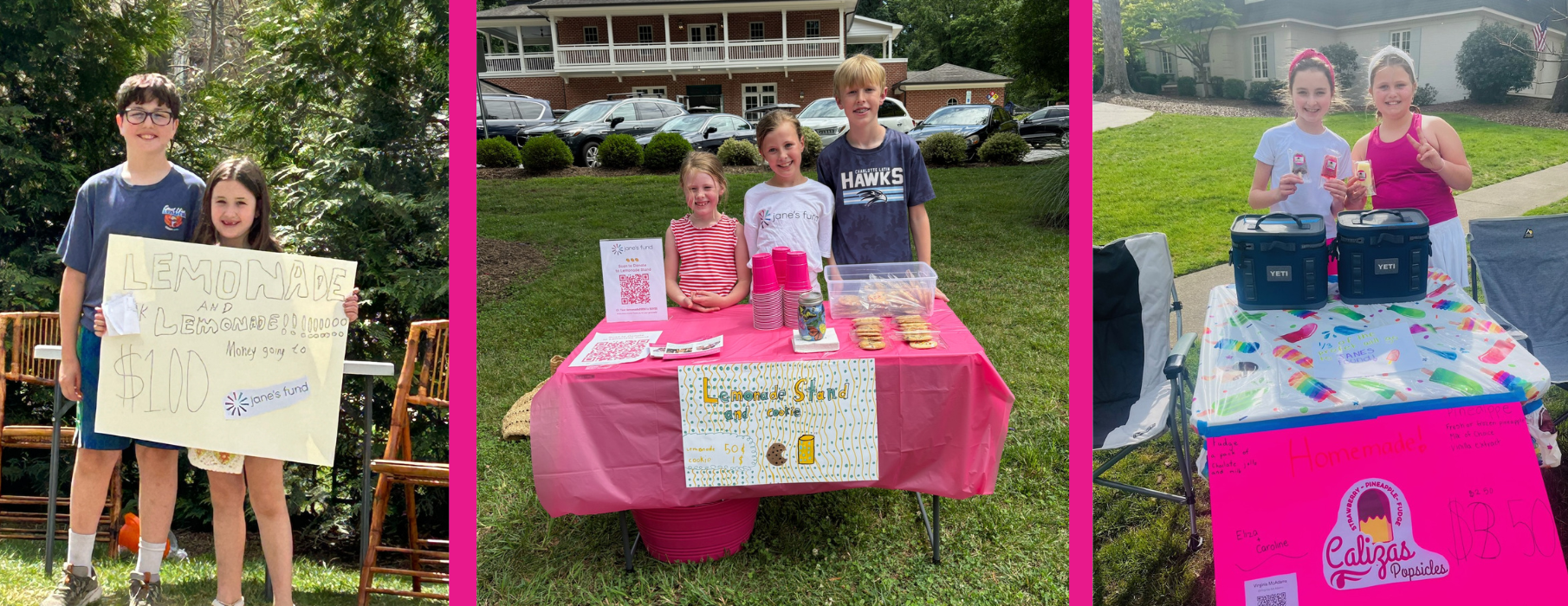Jane's Fund Summer Lemonade Stands Fundraiser
